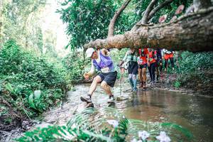 BIB: 
                            <button type="button" onclick="openModal(25476977)" class="btn btn-primary btn-sm float-right btn-popup" data-toggle="modal" data-target=".modal-high-quality">
                        <i class="fas fa-shopping-cart"></i> Add to Cart
                    </button>
                                            <button type="button" onclick="isThisMe(25476977, true)" class="btn btn-success btn-sm float-right btn-popup btn-isme hidden" data-toggle="tooltip" data-placement="bottom" title="นี่คือรูปของคุณใช่ไหม คลิกที่นี่เพื่อเอาเข้าอัลบั้ม">
                        <i class="fas fa-plus"></i> Add to album
                    </button>
                    <button type="button" onclick="isThisMe(25476977, false)" class="btn btn-warning btn-sm float-right btn-popup btn-isnotme hidden">
                        <i class="fas fa-ban"></i> Remove from album
                    </button>